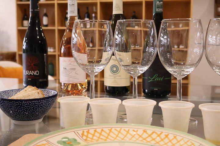 Small-Group Etna Tasting of Organic Wines and Extra Virgin Olive Oils from Small Producers (9/12)