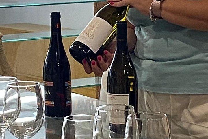 Small-Group Etna Tasting of Organic Wines and Extra Virgin Olive Oils from Small Producers (4/12)