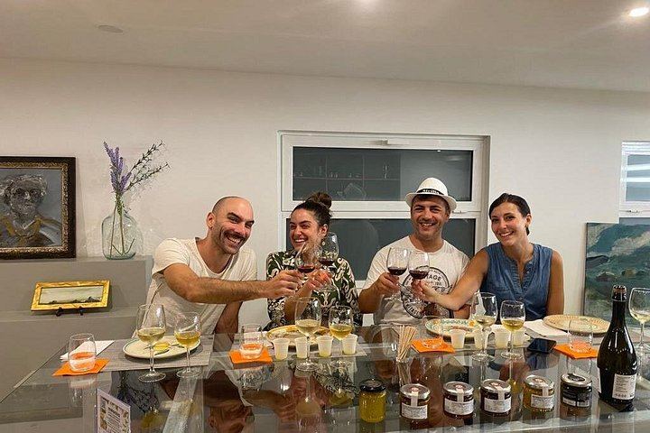 Small-Group Etna Tasting of Organic Wines and Extra Virgin Olive Oils from Small Producers (6/12)