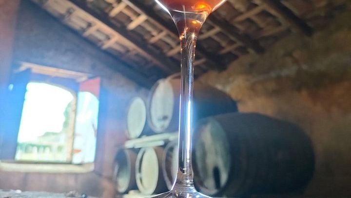 Etna North Slope Winery Tasting with Nerello Mascalese and Carricante, Taormina Pick-up (4/7)