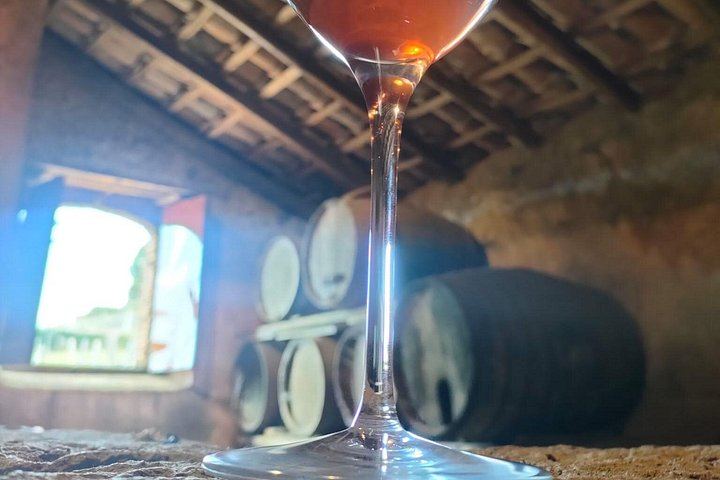 Etna North Slope Winery Tasting with Nerello Mascalese and Carricante, Taormina Pick-up (4/7)