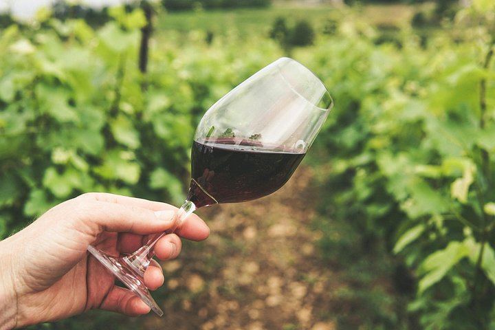 Etna North Slope Winery Tasting with Nerello Mascalese and Carricante, Taormina Pick-up (6/7)