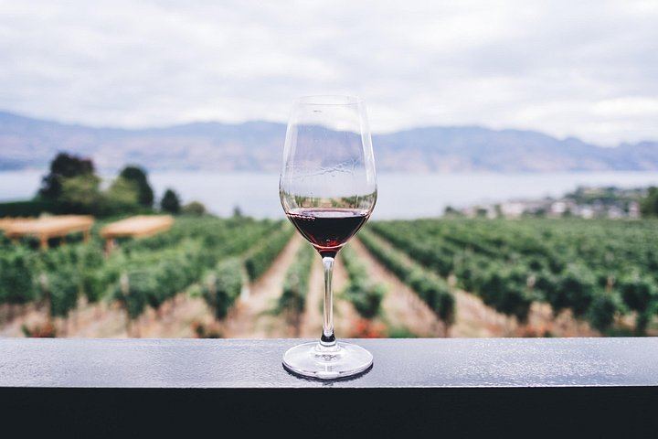 Etna North Slope Winery Tasting with Nerello Mascalese and Carricante, Taormina Pick-up (5/7)