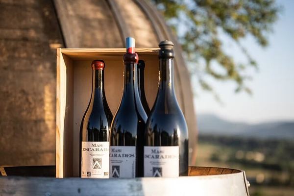 Mas des Escarades Winery Visit and Vineyard Tasting with Panoramic Views, Buisson