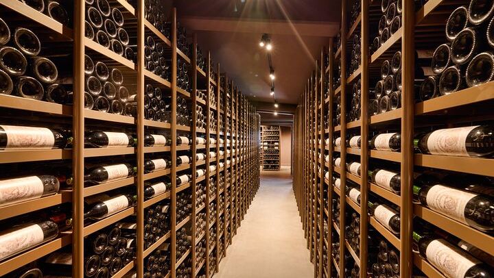 Private Customizable Médoc Wine Tour with Lunch Stop: Saint-Julien, Pauillac and Margaux (3/9)