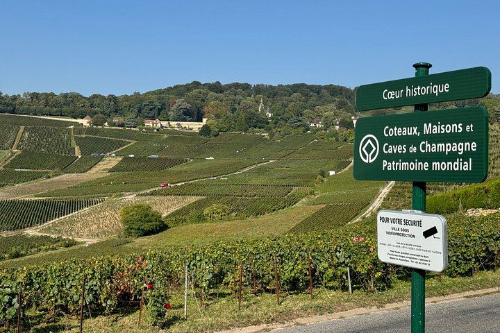 Small-Group Champagne Day from Reims: Cathedral, Two Select Estates, Hautvillers, Épernay (9/12)