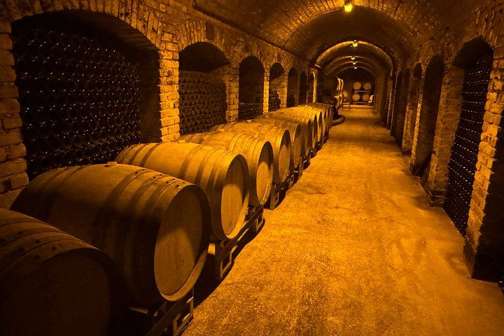 Small-Group Champagne Day from Reims: Cathedral, Two Select Estates, Hautvillers, Épernay (5/12)