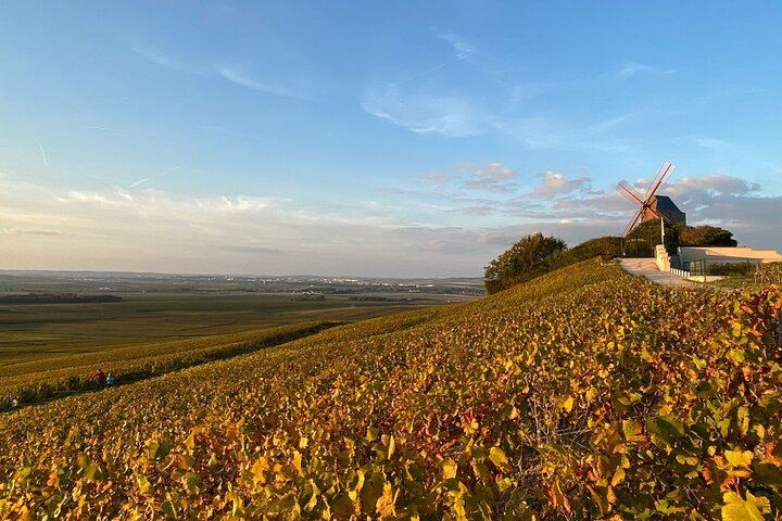 Private Mercedes Champagne Day: One Famous House, One Boutique Grower and Restaurant Lunch (11/12)