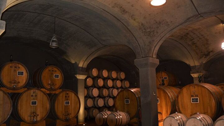 Private Brunello di Montalcino Day Trip from Florence: Fanti and Villa i Cipressi (1/12)
