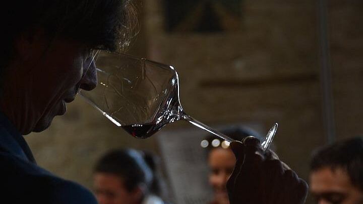 Private Brunello di Montalcino Day Trip from Florence: Fanti and Villa i Cipressi (4/12)