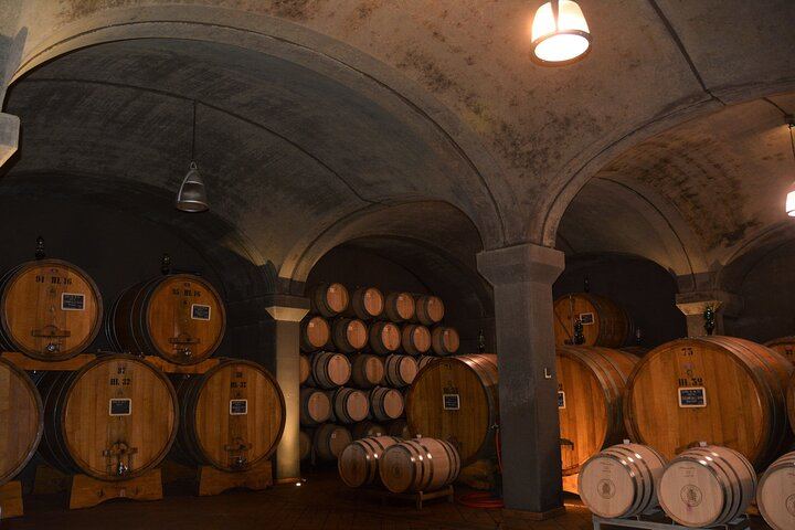 Private Brunello di Montalcino Day Trip from Florence: Fanti and Villa i Cipressi (1/12)