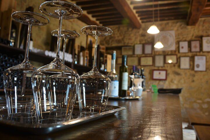 Private Brunello di Montalcino Day Trip from Florence: Fanti and Villa i Cipressi (2/12)
