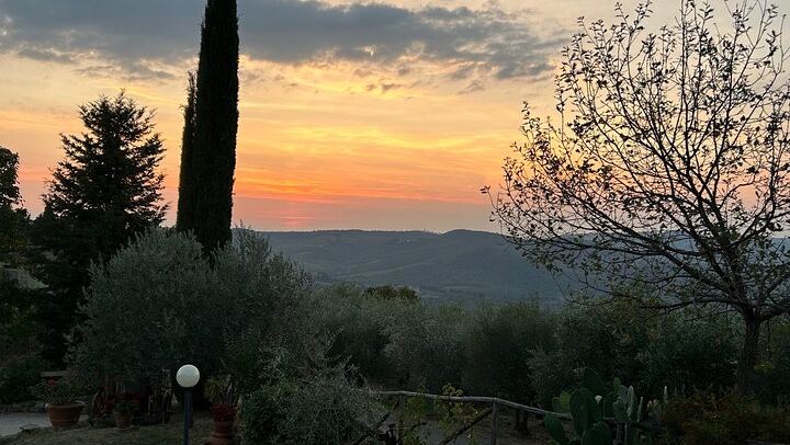 Private Chianti Classico Day from Florence: Luiano, Savignola, a Young Estate, 9:30 Pickup (1/12)