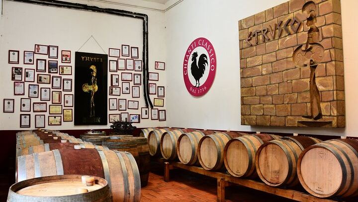 Private Chianti Classico Day from Florence: Luiano, Savignola, a Young Estate, 9:30 Pickup (2/12)