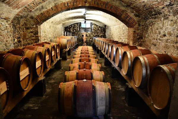 Private Chianti Classico Day from Florence: Luiano, Savignola, a Young Estate, 9:30 Pickup