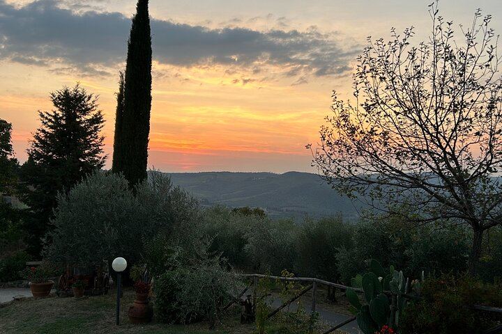 Private Chianti Classico Day from Florence: Luiano, Savignola, a Young Estate, 9:30 Pickup (1/12)
