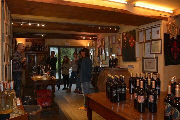 Private Chianti Classico Day from Florence: Luiano, Savignola, a Young Estate, 9:30 Pickup (11/12)