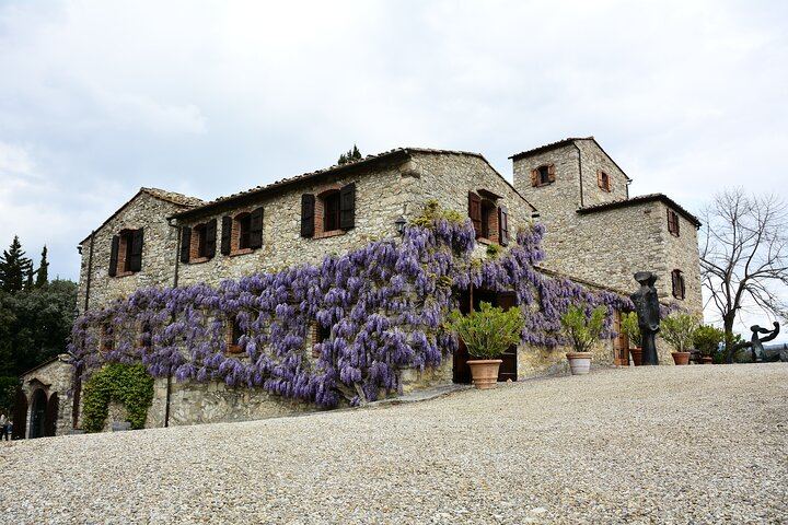 Private Chianti Classico Day from Florence: Luiano, Savignola, a Young Estate, 9:30 Pickup (9/12)