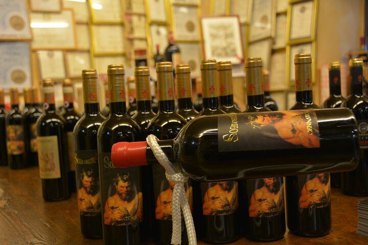 Private Chianti Classico Day from Florence: Luiano, Savignola, a Young Estate, 9:30 Pickup (12/12)