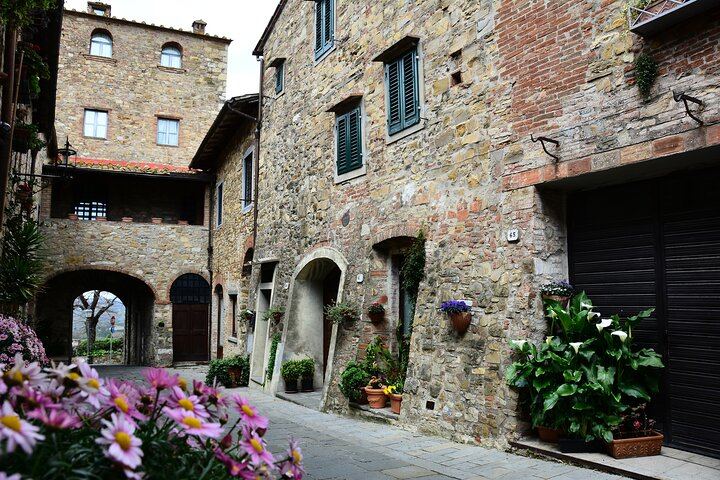 Private Chianti Classico Day from Florence: Luiano, Savignola, a Young Estate, 9:30 Pickup (8/12)