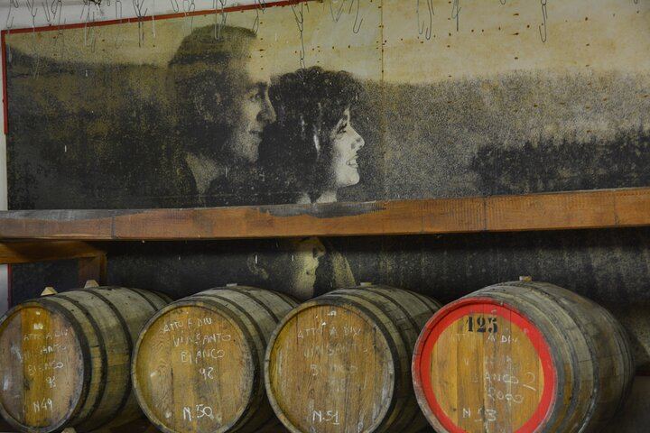 Private Chianti Classico Day from Florence: Luiano, Savignola, a Young Estate, 9:30 Pickup (6/12)