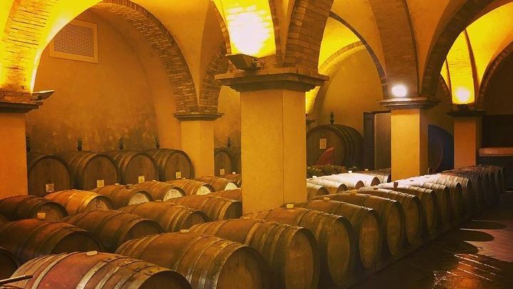 Private Tuscany Minivan Wine Tour: Three Sommelier-Picked Wineries and Pairing Lunch (1/12)