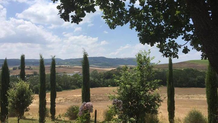Private Tuscany Minivan Wine Tour: Three Sommelier-Picked Wineries and Pairing Lunch (2/12)
