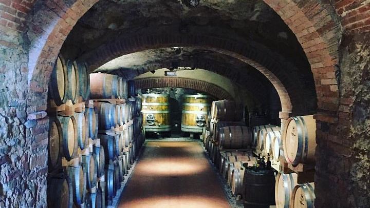 Private Tuscany Minivan Wine Tour: Three Sommelier-Picked Wineries and Pairing Lunch (3/12)