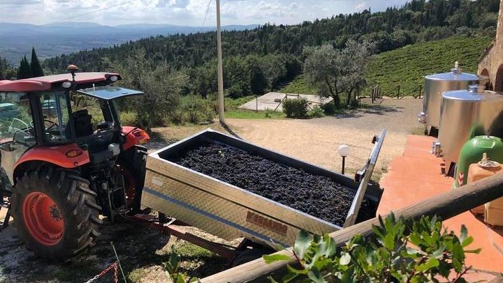Private Tuscany Minivan Wine Tour: Three Sommelier-Picked Wineries and Pairing Lunch (4/12)