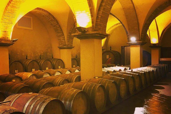 Private Tuscany Minivan Wine Tour: Three Sommelier-Picked Wineries and Pairing Lunch (1/12)
