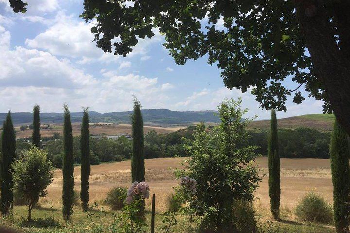 Private Tuscany Minivan Wine Tour: Three Sommelier-Picked Wineries and Pairing Lunch (2/12)