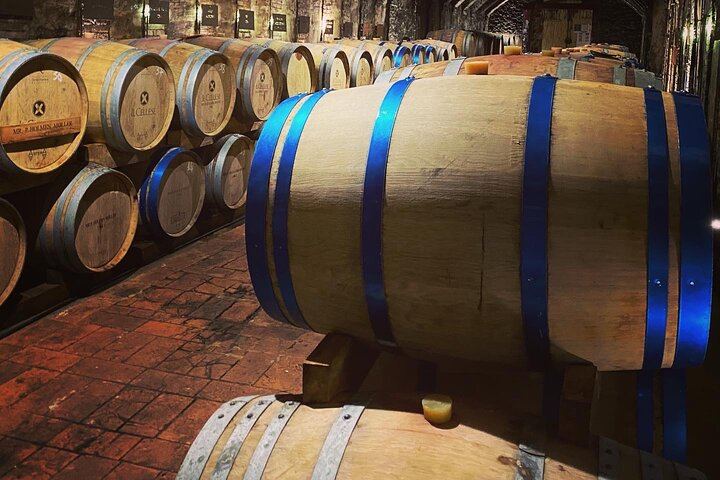 Private Tuscany Minivan Wine Tour: Three Sommelier-Picked Wineries and Pairing Lunch (10/12)