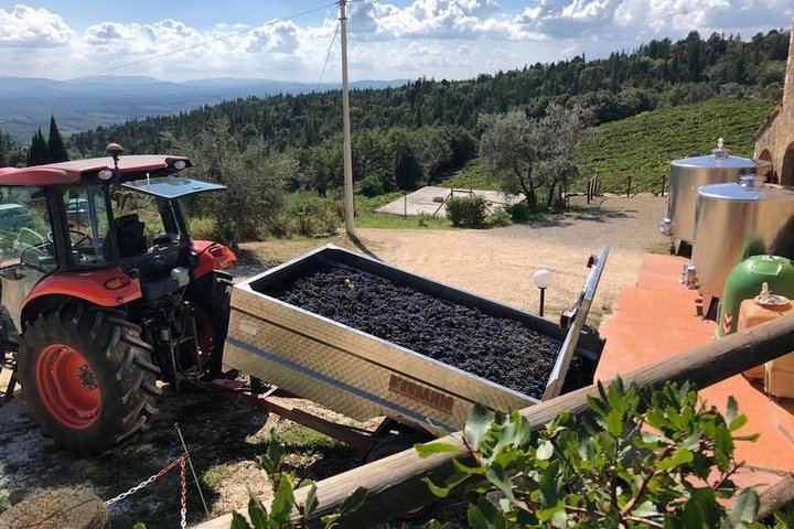 Private Tuscany Minivan Wine Tour: Three Sommelier-Picked Wineries and Pairing Lunch (4/12)