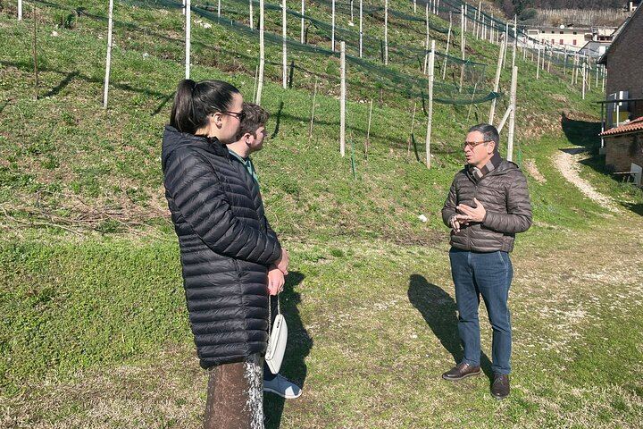 Single-Winery Prosecco Tasting from Venice: Sommelier Host, 4 Styles, Cheese Lunch (8/12)