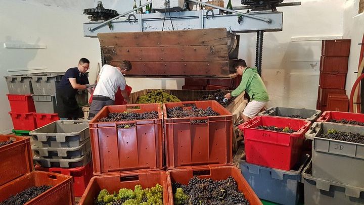 Paris Wine Day Tours Champagne Day Trip: Mumm Cellars, Hautvillers and Three Houses (1/10)