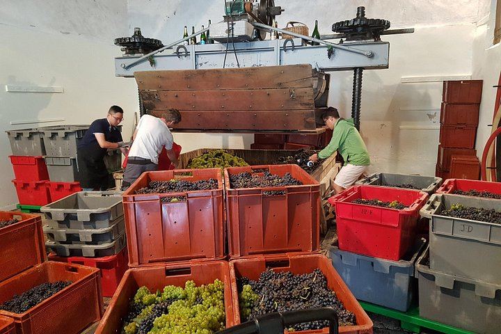 Paris Wine Day Tours Champagne Day Trip: Mumm Cellars, Hautvillers and Three Houses (1/10)