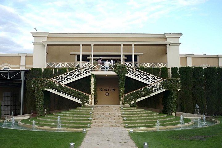 Luján de Cuyo Wine Tasting: Benegas, Ruca Malen and Norton's Paired Lunch (11/12)