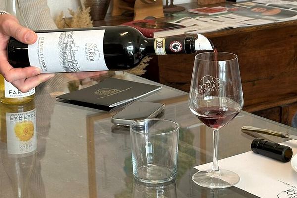 Private Chianti and San Gimignano Day Trip by Minivan with Farm Lunch and Wine Tasting