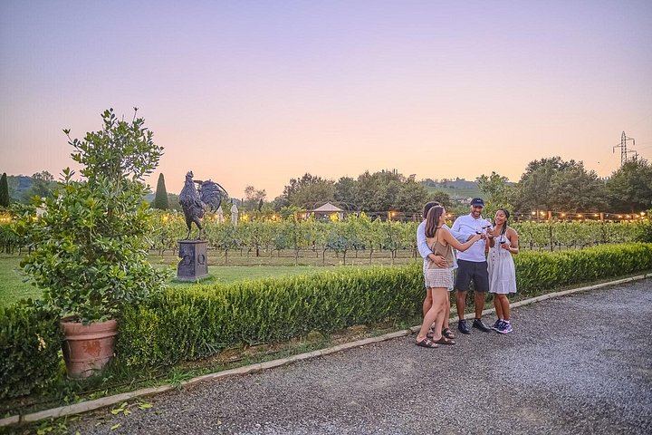 Chianti Winery Tour from Florence with Sunset Dinner Among the Vines, Max 25 People (1/12)
