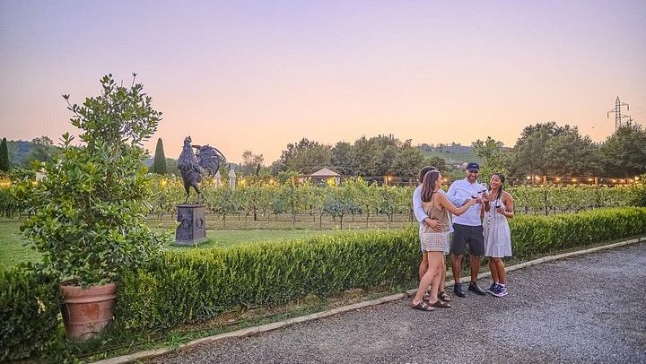Chianti Winery Tour from Florence with Sunset Dinner Among the Vines, Max 25 People (1/12)