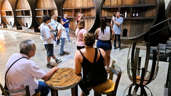 Maipú Afternoon Excursion: Three Wineries and an Olive Mill with Tastings (4/12)