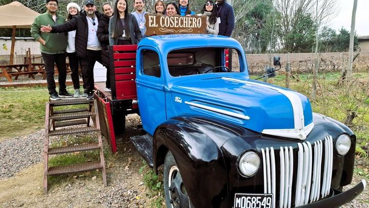 Maipú Afternoon Excursion: Three Wineries and an Olive Mill with Tastings (2/12)