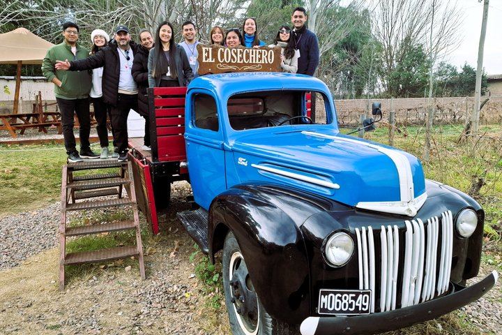 Maipú Afternoon Excursion: Three Wineries and an Olive Mill with Tastings (2/12)