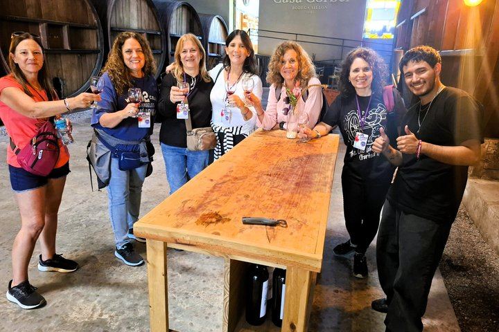 Maipú Afternoon Excursion: Three Wineries and an Olive Mill with Tastings (10/12)