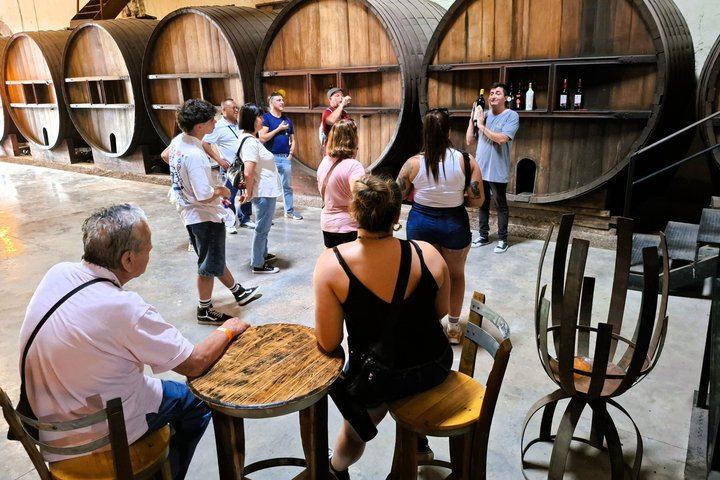 Maipú Afternoon Excursion: Three Wineries and an Olive Mill with Tastings (4/12)