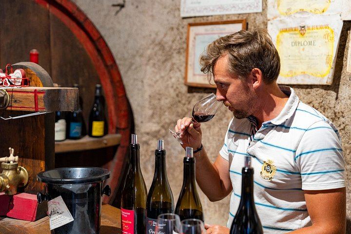 Private Southern Burgundy Wine Day in a Vintage Land Rover from Lyon (4/12)
