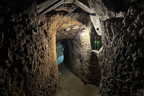 Samaniego Family Winery Visit with Old Cellar Tunnels and Tasting, Rioja Alavesa