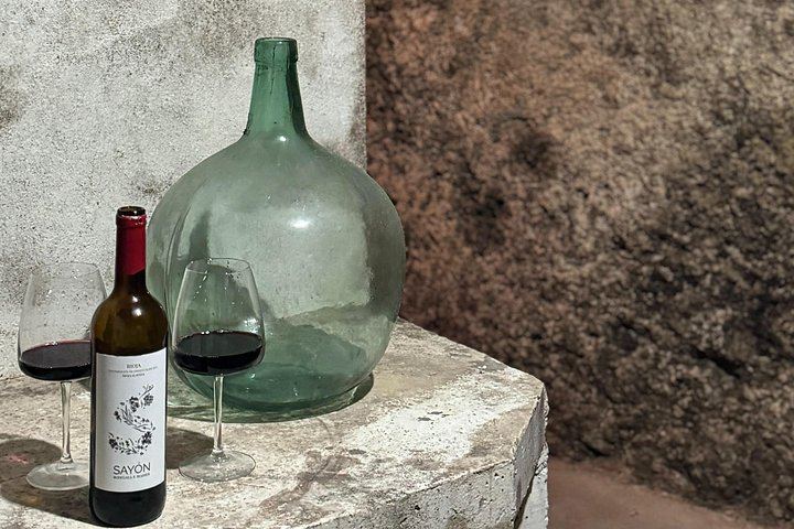 Samaniego Family Winery Visit with Old Cellar Tunnels and Tasting, Rioja Alavesa (5/6)