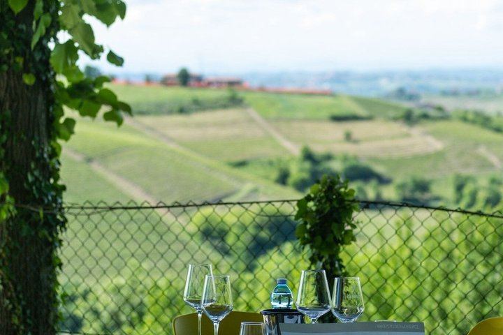 Simone Cerruti Winery near Castiglione Tinella: Vineyard Walk and Six-Wine Tasting (12/12)