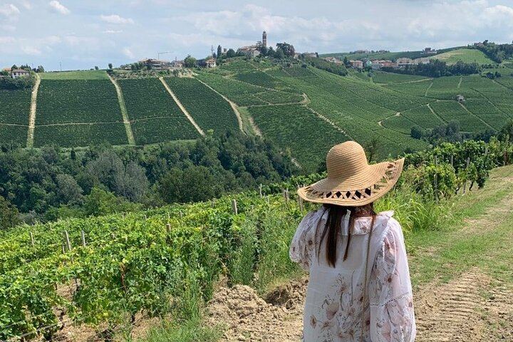 Simone Cerruti Winery near Castiglione Tinella: Vineyard Walk and Six-Wine Tasting (5/12)